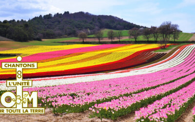 LE MONDE D’APRÈS #80 En finir avec la haine