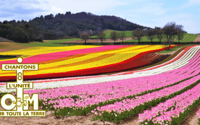 THE WORLD AFTER #89 Divine compassion