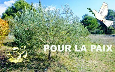 Croisade pour la paix